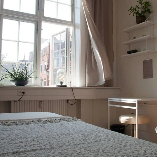 123878385_2679898658925995_2689632762507199343_n